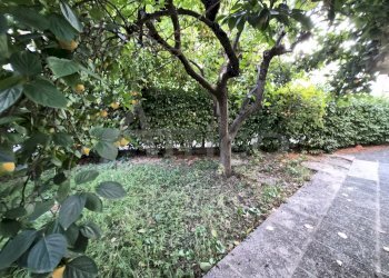 20251014_173809.jpg - Villa Piazza Ungheria RO, Rovigo - foto 3