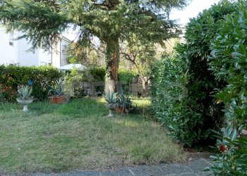 3_GIARDINO - Villa Piazza Ungheria RO, Rovigo - foto 5