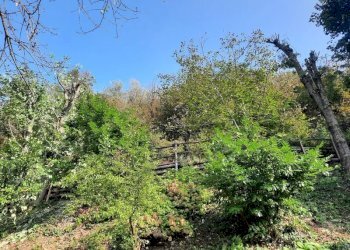 Villa Roccaforte Mondovì - foto 17