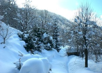 Villa Roccaforte Mondovì - foto 19