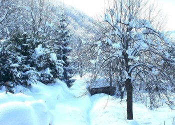 Villa Roccaforte Mondovì - foto 20