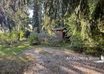 Rustico Sarteano - foto 29