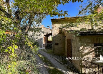 Rustico Sarteano - foto 31