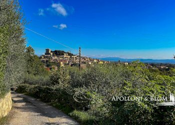 Rustico Sarteano - foto 40