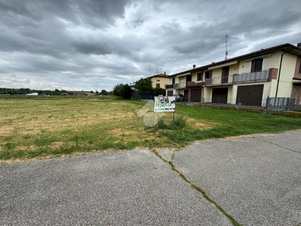 Terreno edificabile Via Castelletto, Massa Lombarda - foto 2