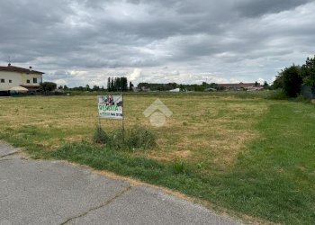Terreno edificabile Via Castelletto, Massa Lombarda - foto 8