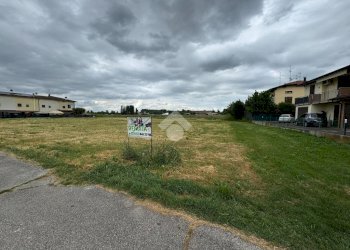 Terreno edificabile Via Castelletto, Massa Lombarda - foto 9