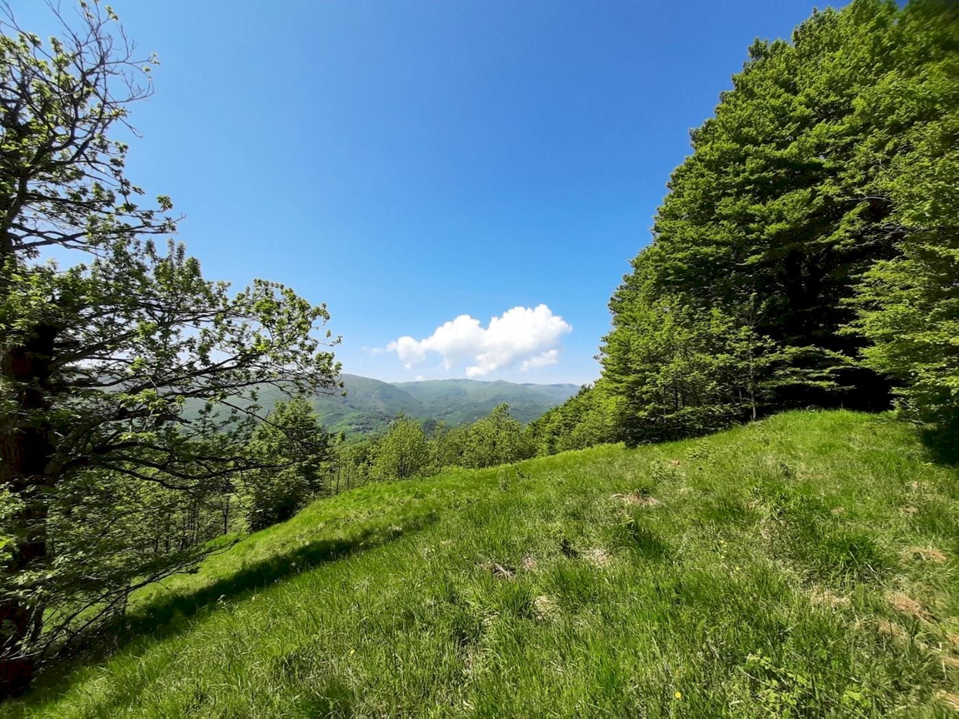 Cascina Urbe, Urbe - foto 3