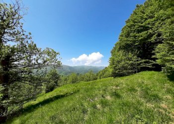 Cascina Urbe, Urbe - foto 3