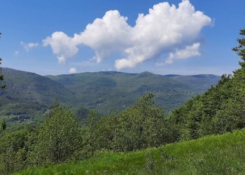 Cascina Urbe, Urbe - foto 4