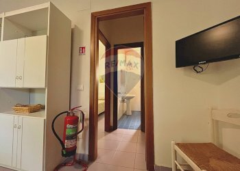 Hall / corridoio - Bilocale Capoliveri - foto 13