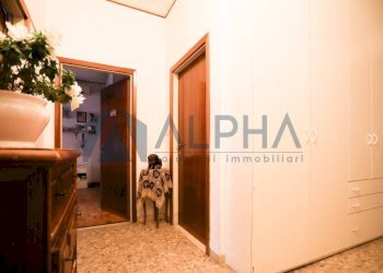 Disimpegno - Quadrilocale via Quattordici, Cesena - foto 11