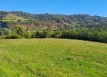 Agricultural land Canelli - photo 13