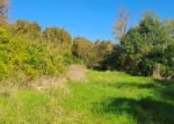 Agricultural land Canelli - photo 14