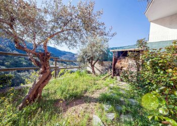 il giardino - Appartamento LocalitaTessi
 
49, Moneglia - foto 4