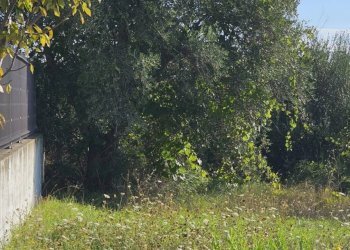 Foto 4 - Building land località convento, Mosciano Sant'Angelo - photo 4