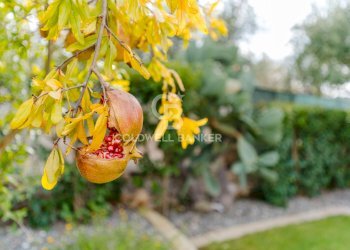 Foto 28 - Villa Strada comunale Fondo della Lupa
 
Snc, Polignano a Mare - foto 28