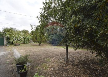 Giardino - Villa Via Enrico Fermi
 
82, Belpasso - foto 5