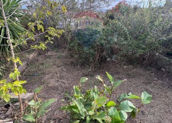 Giardino - Casa indipendente Via della Prece
 
1, Caltagirone - foto 30