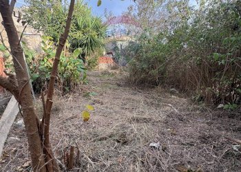 Giardino - Casa indipendente Via della Prece
 
1, Caltagirone - foto 32