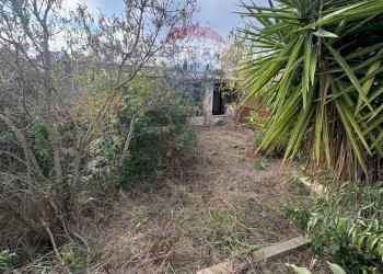 Giardino - Casa indipendente Via della Prece
 
1, Caltagirone - foto 37
