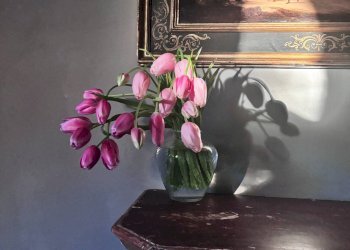 Dettagli - Rustico Montespertoli - foto 13