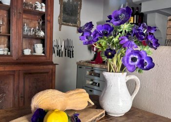 Dettagli - Rustico Montespertoli - foto 20