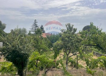 Giardino - Casa indipendente VIA SCACCHIERE, Zafferana Etnea - foto 8