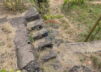 Giardino - Casa indipendente VIA SCACCHIERE, Zafferana Etnea - foto 11
