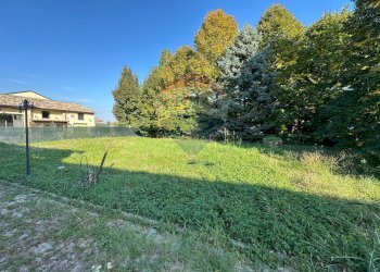 Giardino - Rustico frazione vedole
 
51, Colorno - foto 7