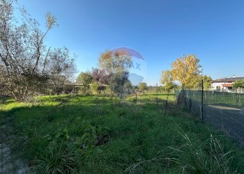 Giardino - Rustico frazione vedole
 
51, Colorno - foto 10