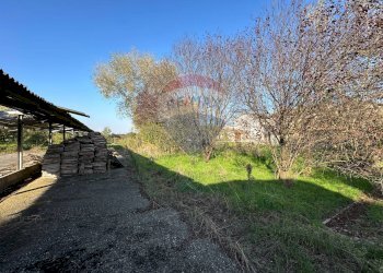 Giardino - Rustico frazione vedole
 
51, Colorno - foto 11