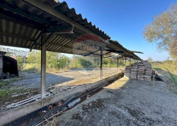 Terrazza - Rustico frazione vedole
 
51, Colorno - foto 12