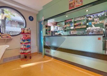 Camera / camera da letto - Bar Tavola Calda - Fredda Padova - foto 2