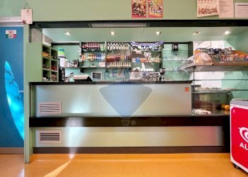 Camera / camera da letto - Bar Tavola Calda - Fredda Padova - foto 3