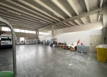 Foto 4 - Capannone Via Treviso
 
2/q, San Giovanni Teatino - foto 4