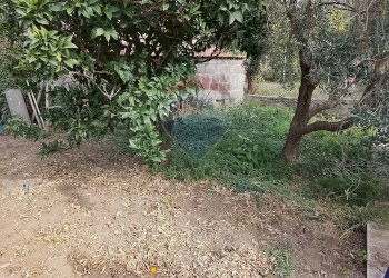 Giardino - Casa semi indipendente Sessa Aurunca - foto 8