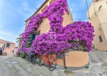 Foto 14 - Quadrilocale Via Aia Grande, Campo nell'Elba - foto 14