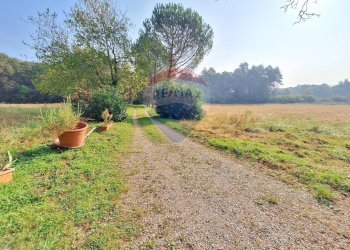 Giardino - Bilocale Via Alle Valli
 
7, Locate Varesino - foto 10