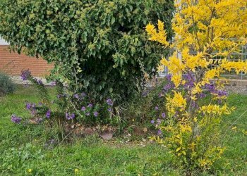 Foto 5 - Villa Località Silva, Bore - photo 5