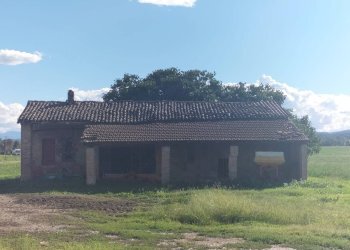 Foto 2 - Terreno agricolo Fidenza - foto 2