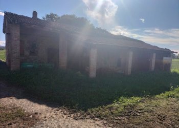 Foto 4 - Terreno agricolo Fidenza - foto 4