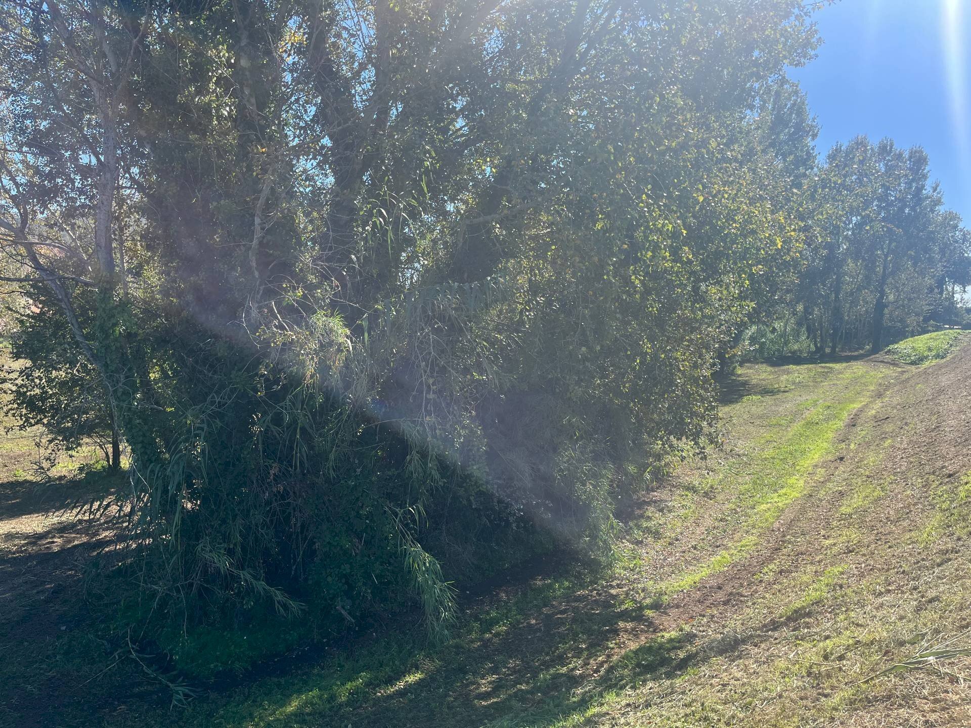 Foto 1 - Terreno agricolo via provinciale vicarese 2
 
10, Vicopisano - foto 1