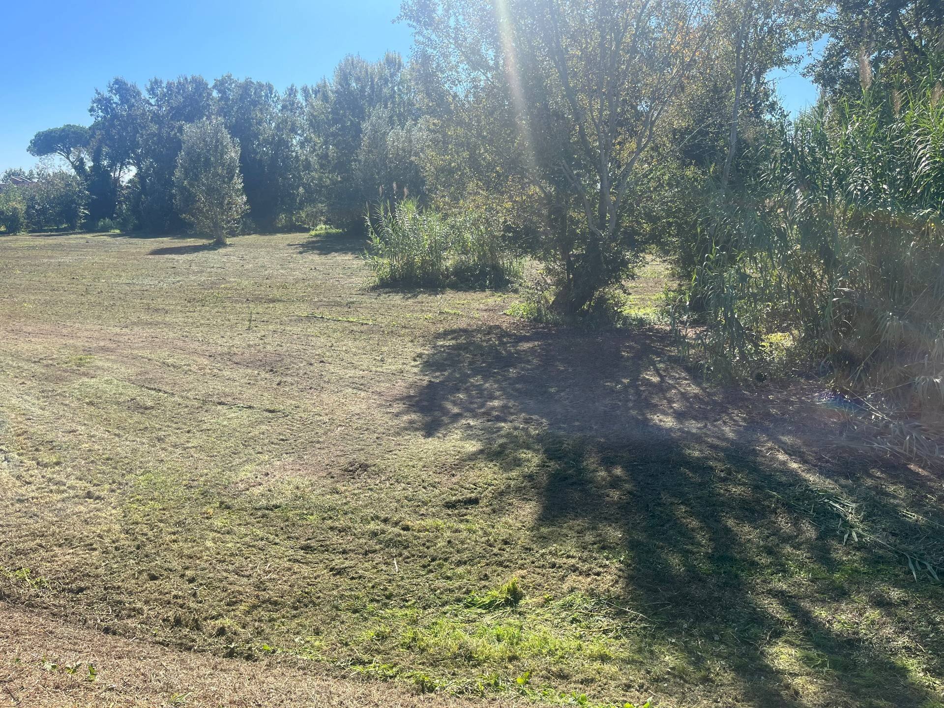 Foto 2 - Terreno agricolo via provinciale vicarese 2
 
10, Vicopisano - foto 2