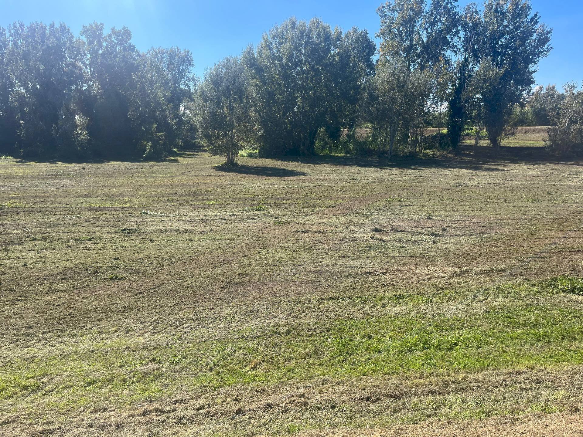 Foto 3 - Terreno agricolo via provinciale vicarese 2
 
10, Vicopisano - foto 3