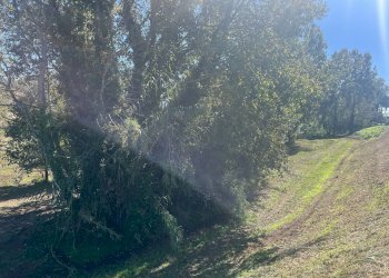 Foto 1 - Terreno agricolo via provinciale vicarese 2
 
10, Vicopisano - foto 1