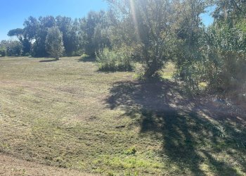 Foto 2 - Terreno agricolo via provinciale vicarese 2
 
10, Vicopisano - foto 2