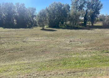 Foto 3 - Terreno agricolo via provinciale vicarese 2
 
10, Vicopisano - foto 3