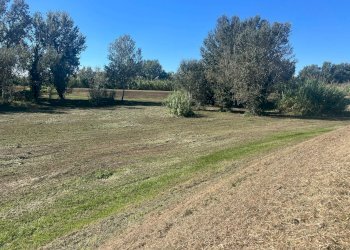 Foto 4 - Terreno agricolo via provinciale vicarese 2
 
10, Vicopisano - foto 4