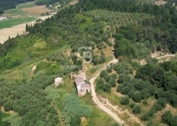 Foto 4 - Rustico via Agliati, San Miniato - foto 4